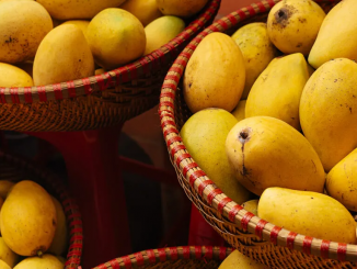 Canastas de mango
