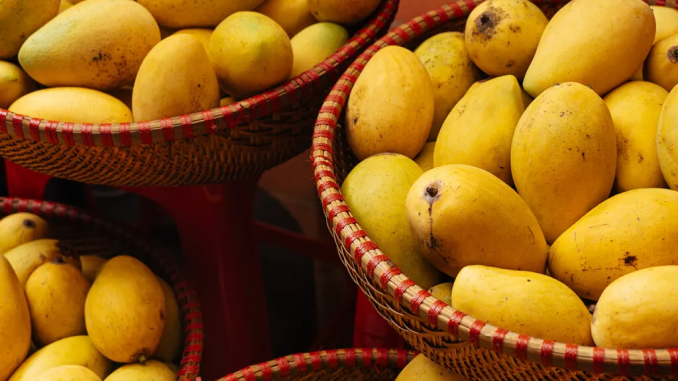 Canastas de mango