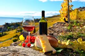 queso y vino en qro