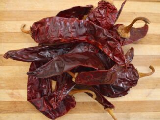 chile guajillo