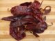 chile guajillo